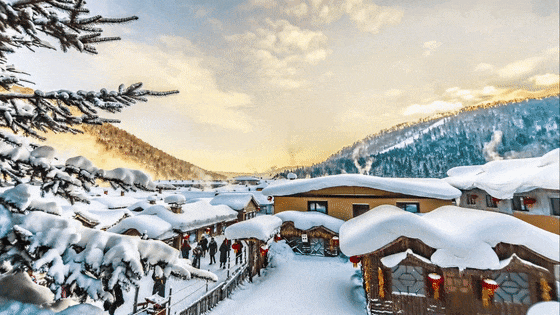 1760583451073_5jSERya