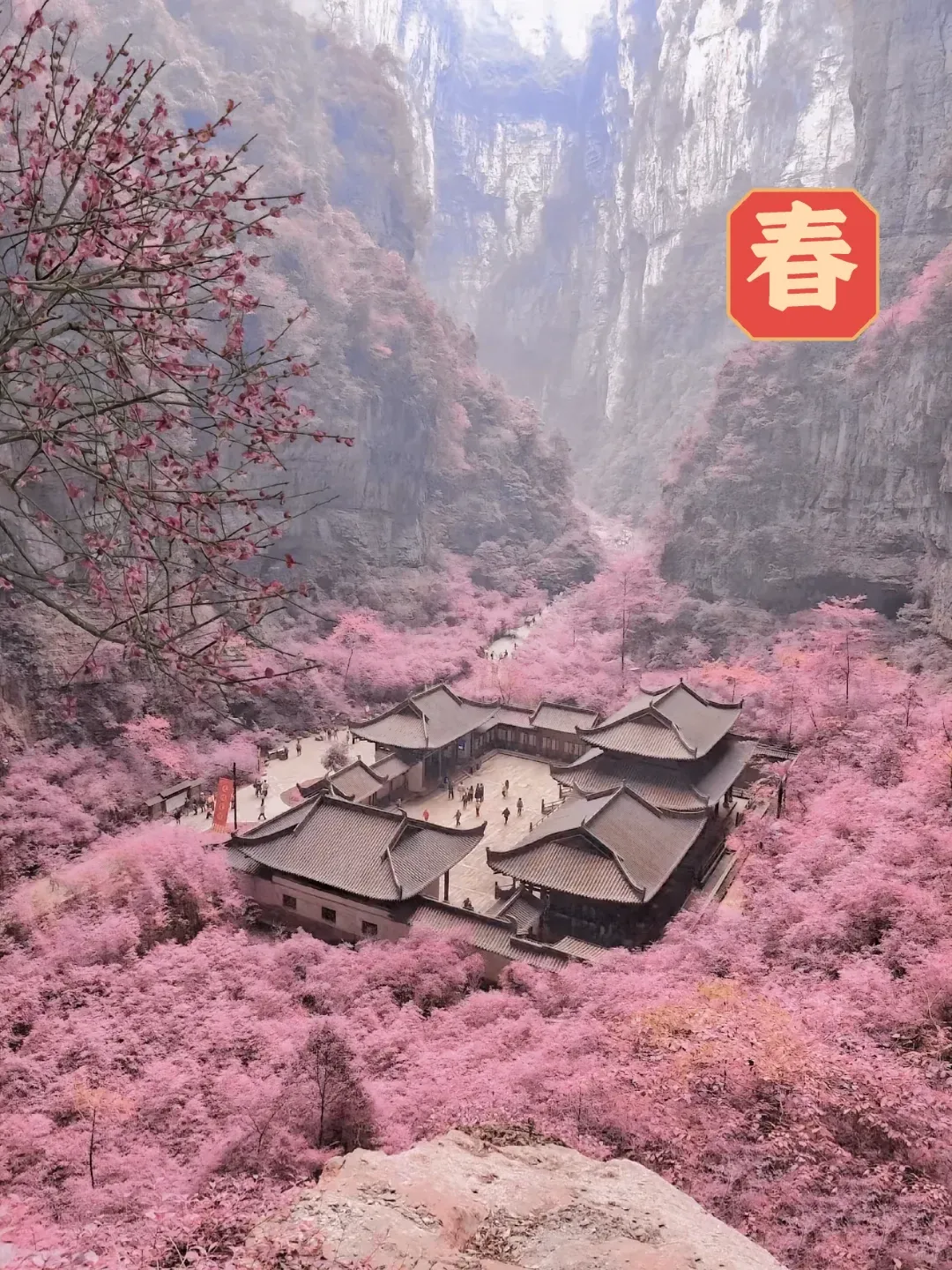 1760a71abab5923ddd7a7a241776c77c-sz_3277023