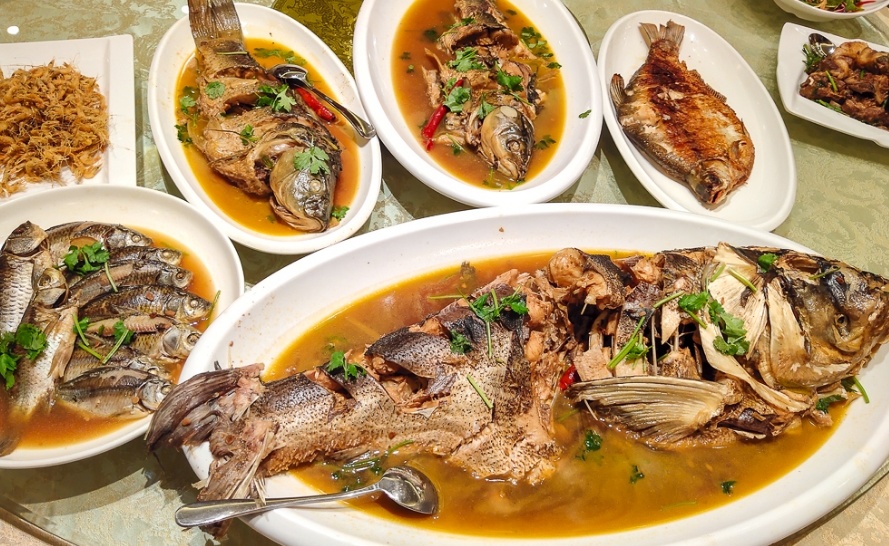 1761203504240_15b5Gn5r 1761203504240_15b5Gn5r