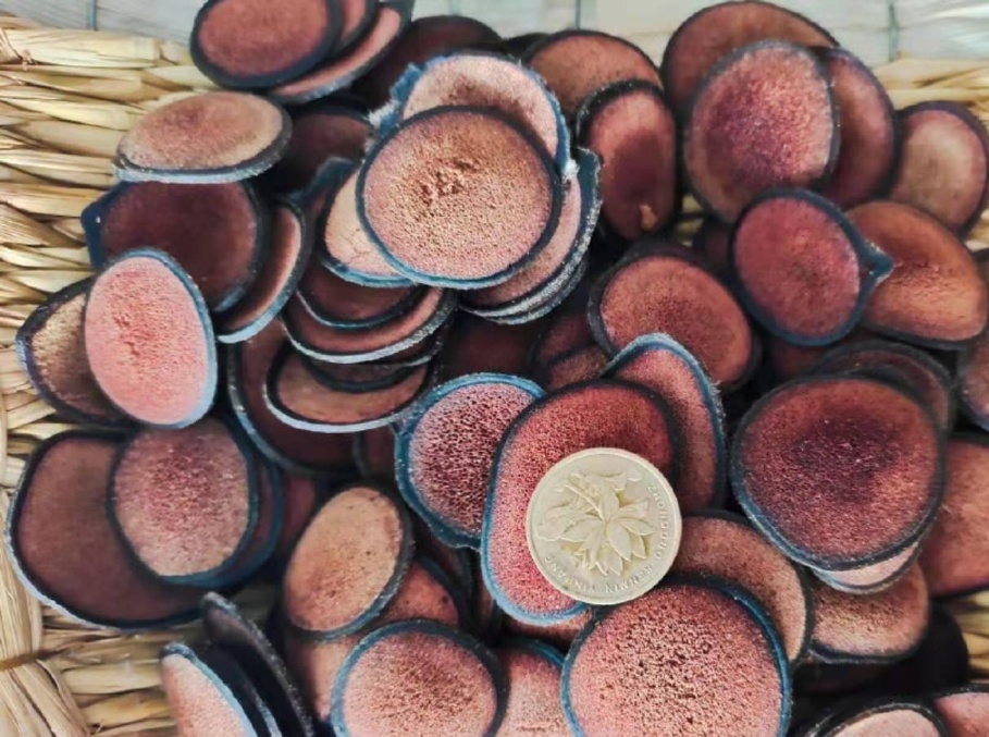 1761203687735_9Nihp6i 1761203687735_9Nihp6i