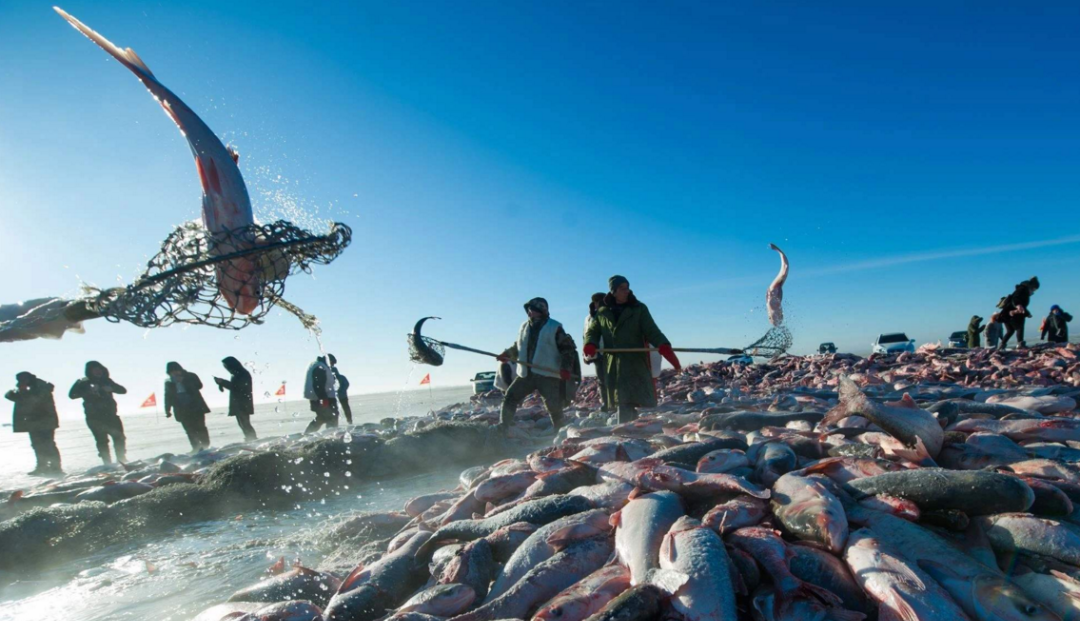 1761794432637_50pHDf6d