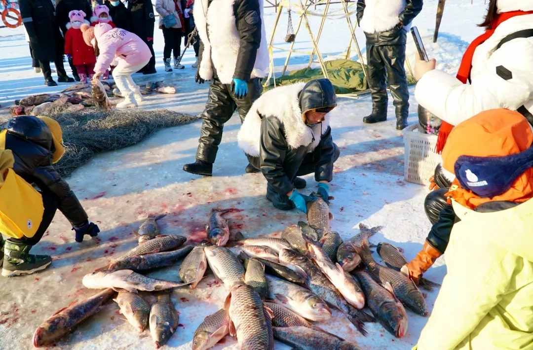 1761794432640_35jR7h2P