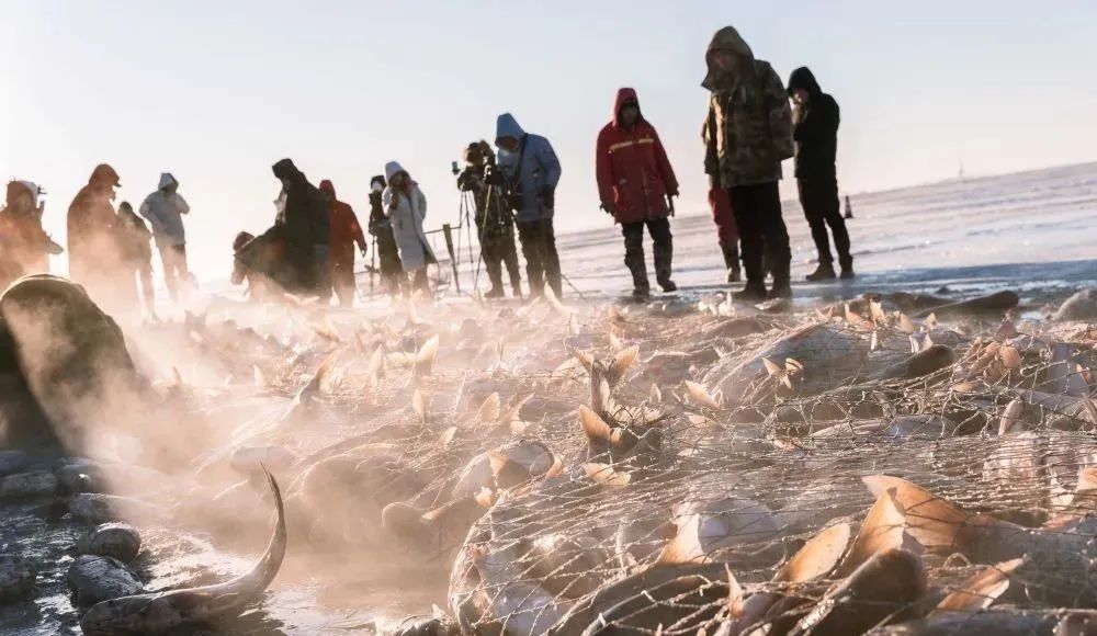 1761794432649_3JkAsCM