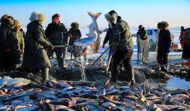 1761794432649_4tRbwte