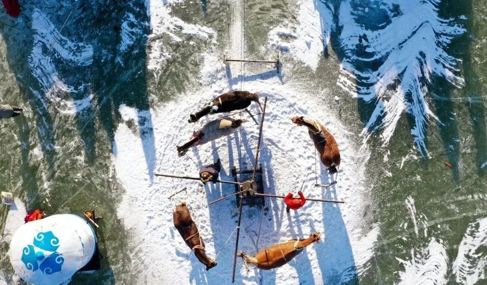 1761794432649_5jBXG3p