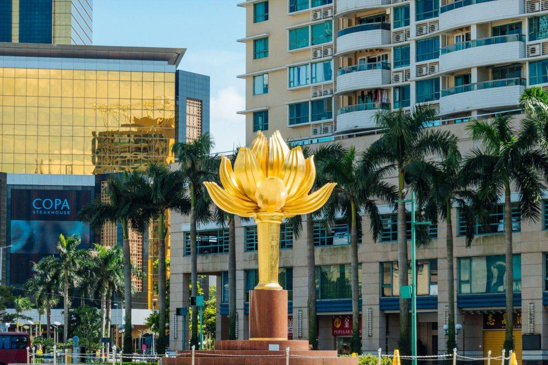 1762851214999_40ARERiG