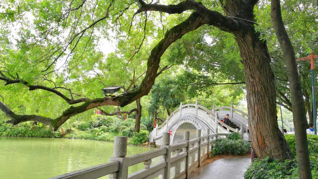 1762851215000_34fd4N6f