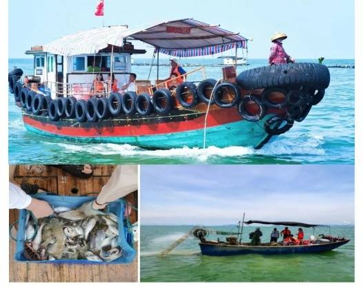 1763520213849_50NsaakR