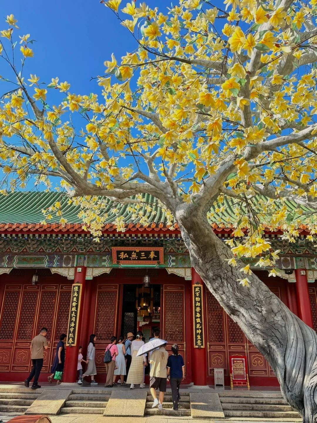 1763520213854_32Jdwbsp