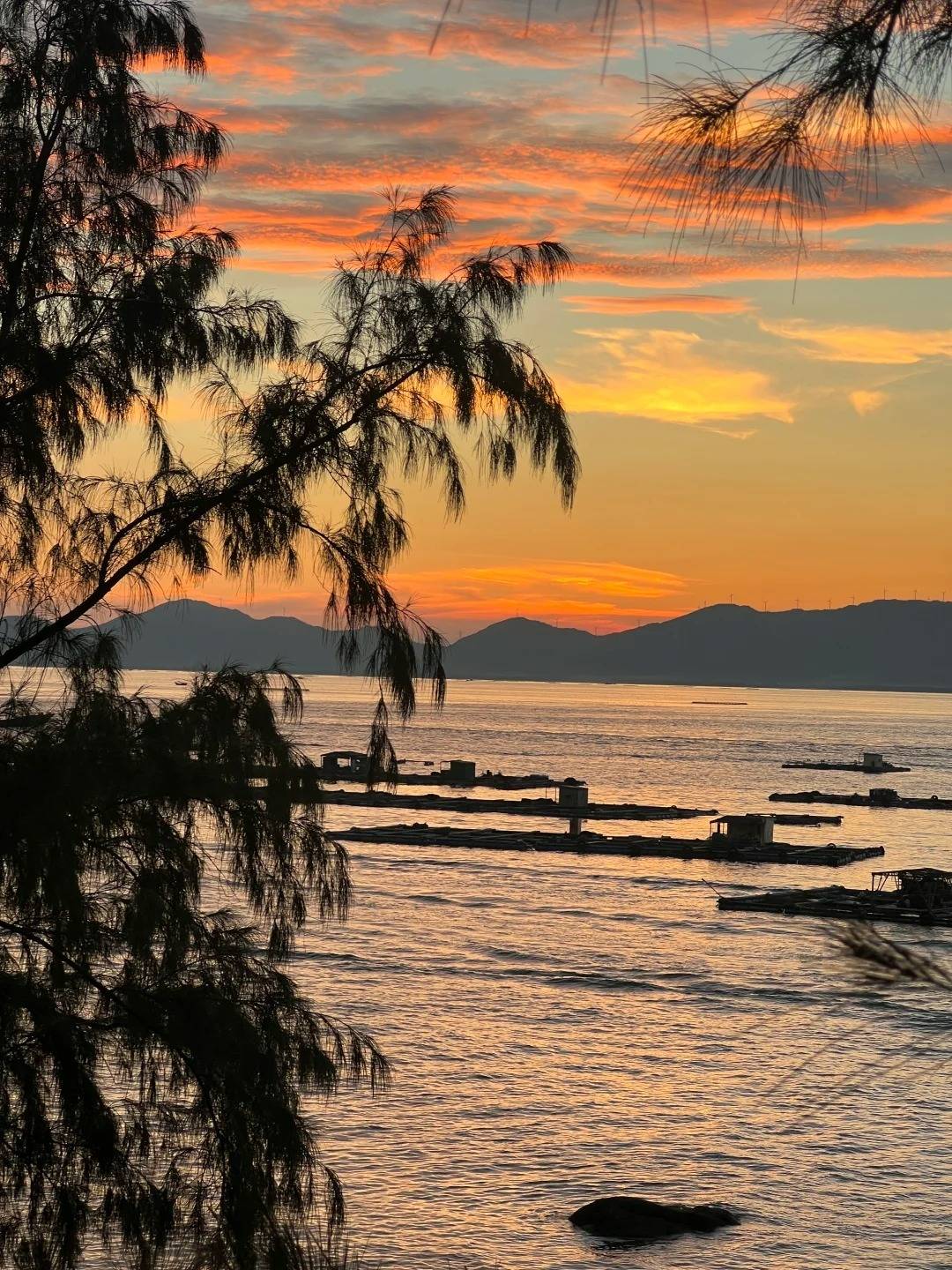 1763520213854_37YF8Nkx