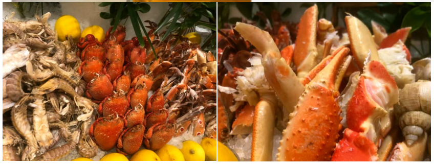 1763520213855_28WxmhBf