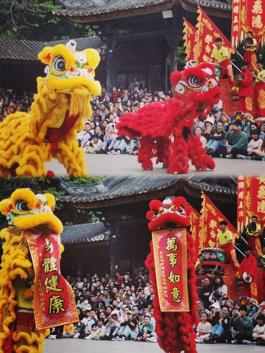 1763520213864_3H7Bha8