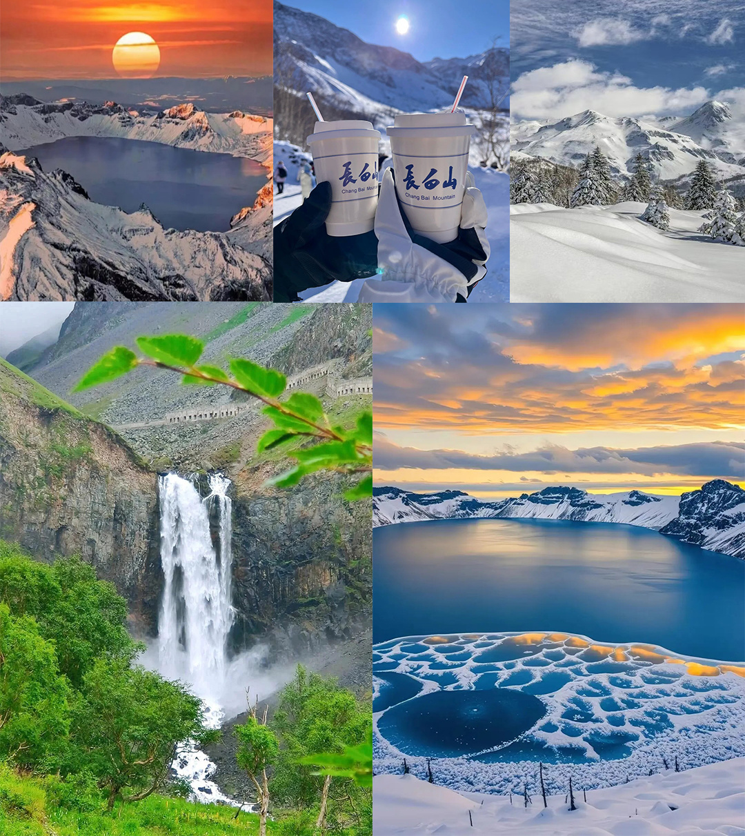 1763982156781_18eRSDNT