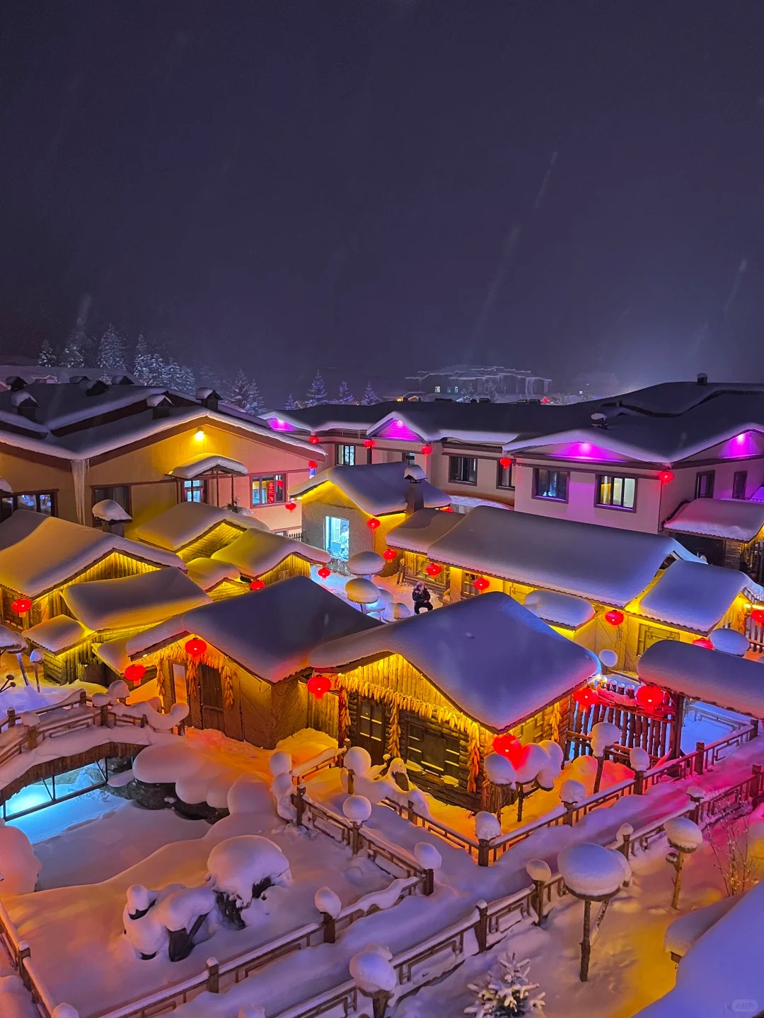 1764036500340mppJSY3