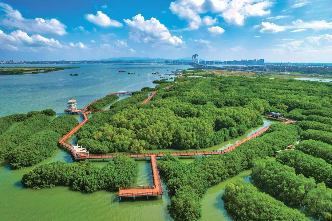 17ed531f50ae8ea21e7a2207db9e36a8-sz_1502674