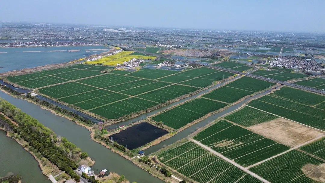 17f84ad02450395e0a2dd5d2be1f45c6-sz_711635