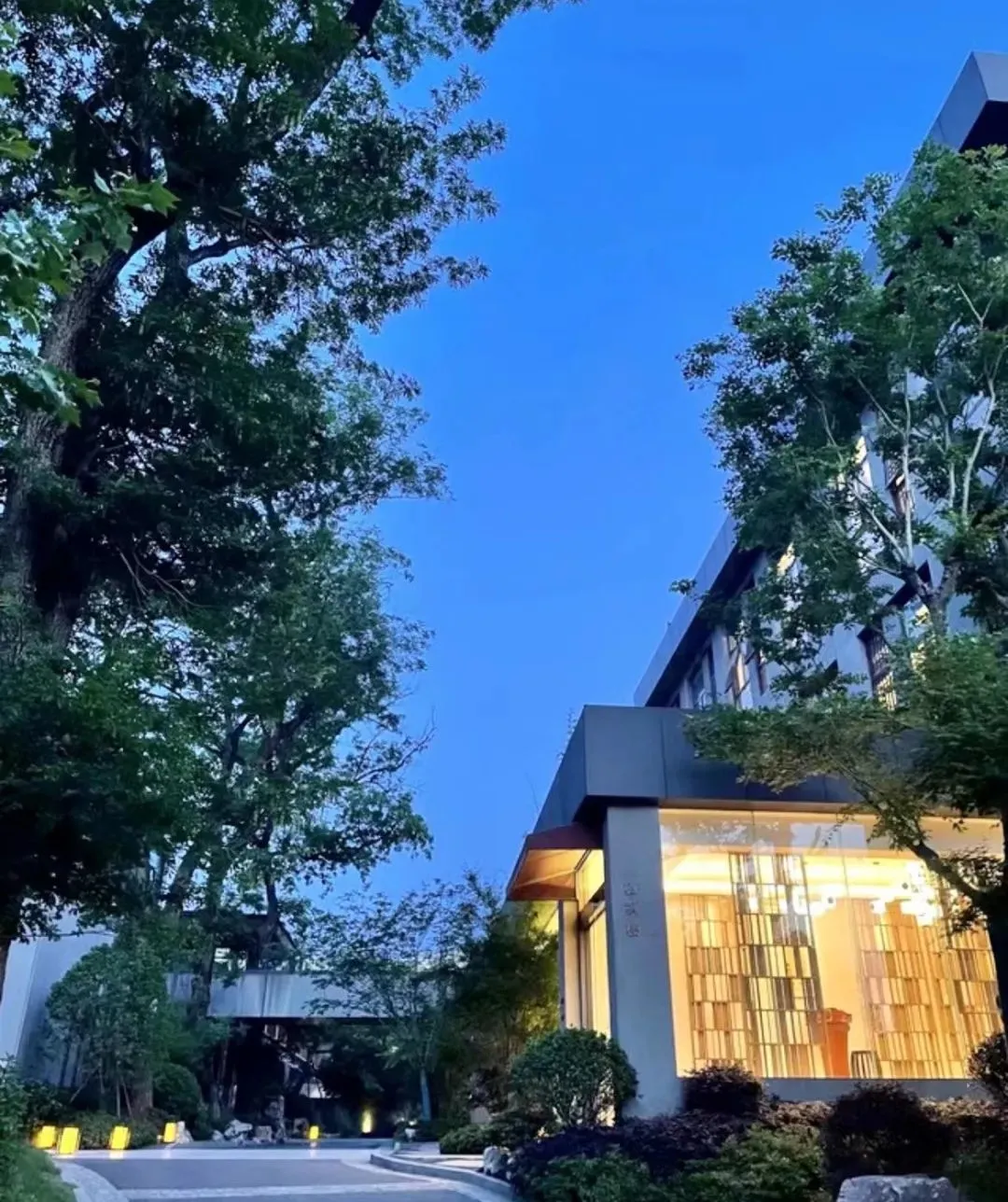 18029307f6d2cd3862b2d40702dbb456-sz_257594