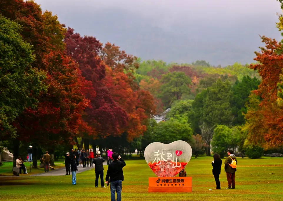 180c4c8436313df3ddf49f009e370f85-sz_894440 180c4c8436313df3ddf49f009e370f85-sz_894440