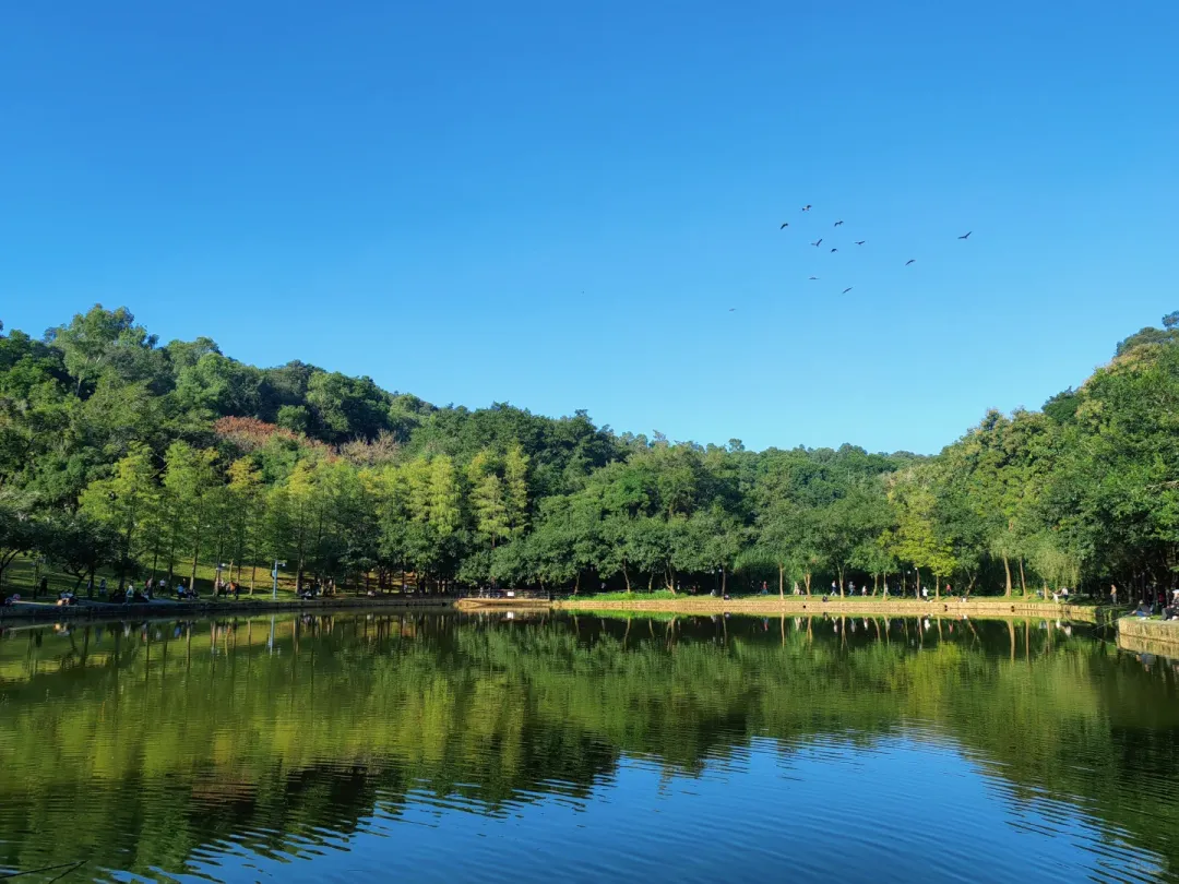 18ecbfd9dd3379d7dcd8bf16081fe886-sz_2234119