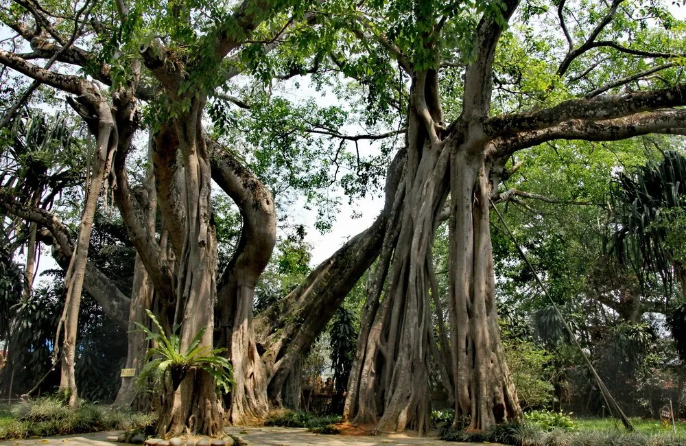 190b562c1663dfab8d4ec7d6812b453c-sz_339737 190b562c1663dfab8d4ec7d6812b453c-sz_339737