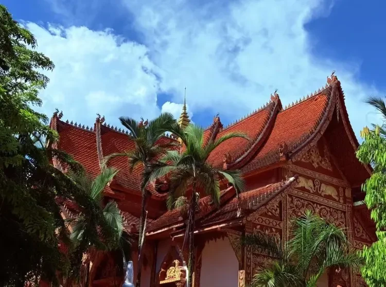 19435bc061ecd0900a8b5f1658f6145c-sz_221743 19435bc061ecd0900a8b5f1658f6145c-sz_221743