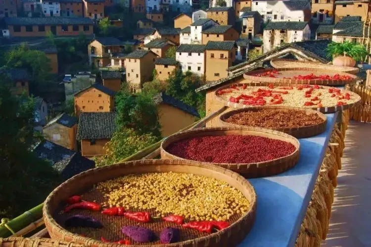 197443f6a3248ee06578cd76a398d2da-sz_156841 197443f6a3248ee06578cd76a398d2da-sz_156841