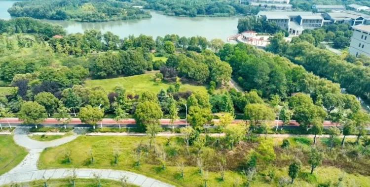 19946b35d91a9af6617f4444126dda5e-sz_1295398