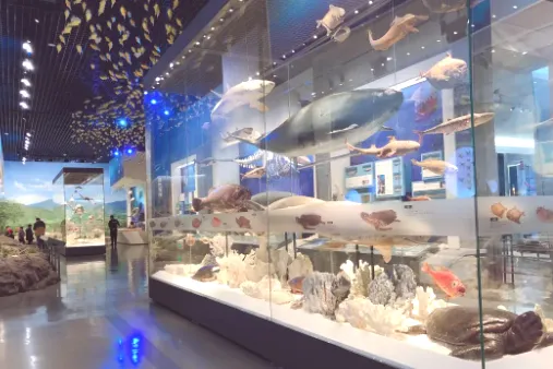 1a0fda142f3ffc2491f9d21d8b2b2d03-sz_536013