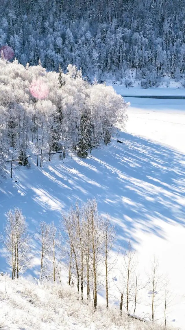 1a433b256186ad7761e32dcd142abece-sz_161289 1a433b256186ad7761e32dcd142abece-sz_161289