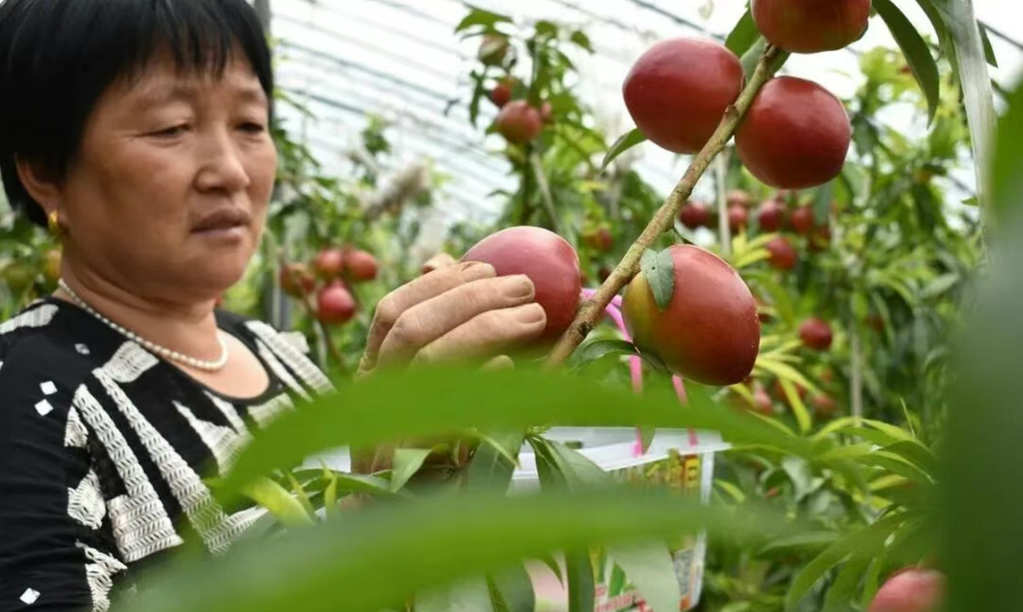 1a4406f537c623f44b442178cbd3a1a1