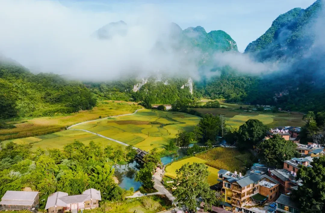 1a617b4f7183ff2dad81d47908c8588b-sz_2489532