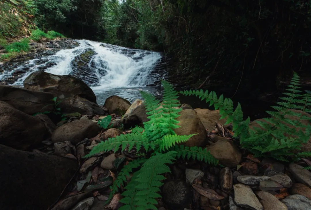 1aaa50955b41d0ea3285905d53cd10fa-sz_6576231 1aaa50955b41d0ea3285905d53cd10fa-sz_6576231