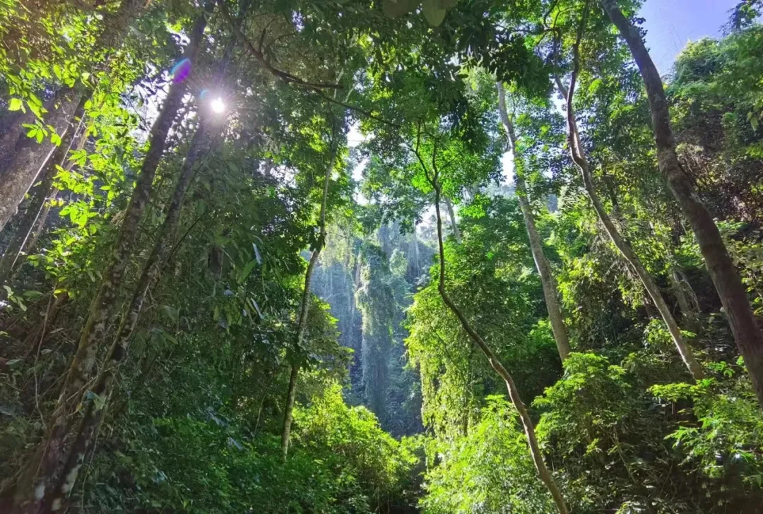 1ac641635b82ab9d95be40b8b5371d47-sz_540026