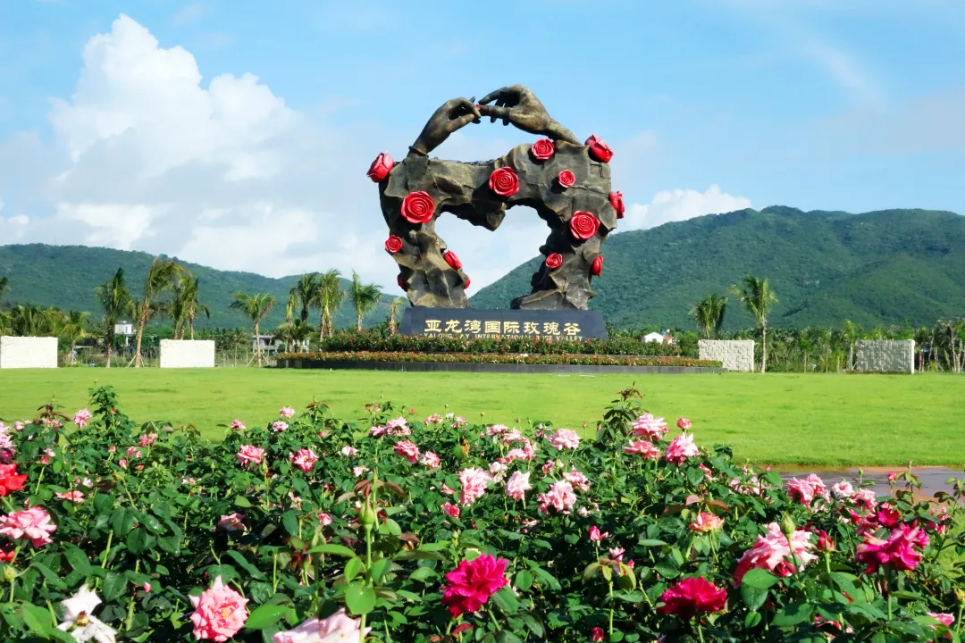 1ae4c26e6a63367543c6972199510142-sz_3950134 1ae4c26e6a63367543c6972199510142-sz_3950134