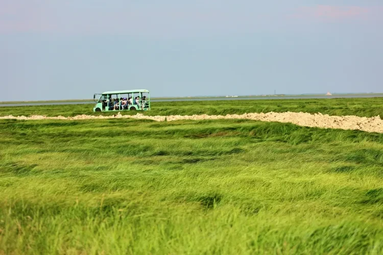 1af3ad46c0b3df74f0b95ef236e12c08-sz_2890710