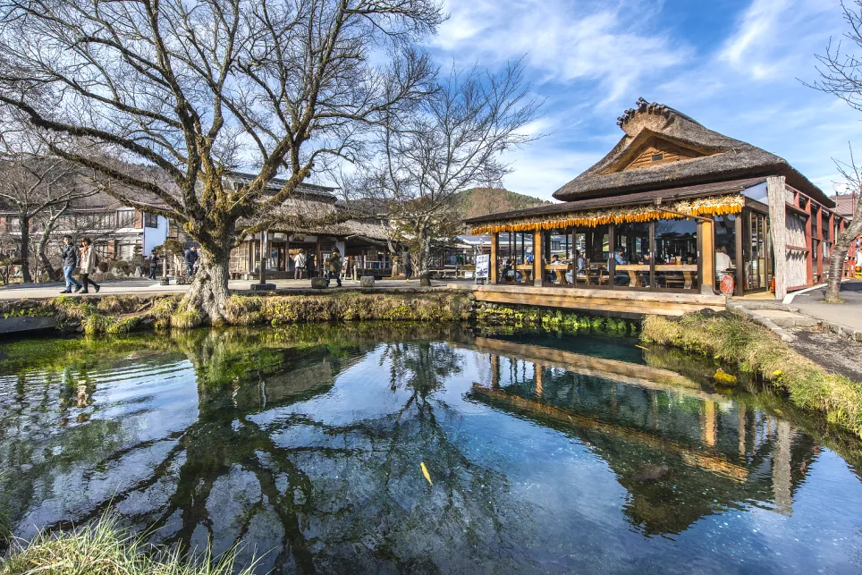 1b2e52065df8ed1909773d96c1f18c14-sz_1767084 1b2e52065df8ed1909773d96c1f18c14-sz_1767084