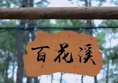 1b7ef14f1c1e773fb8f94d1dc1422bd3-sz_340003