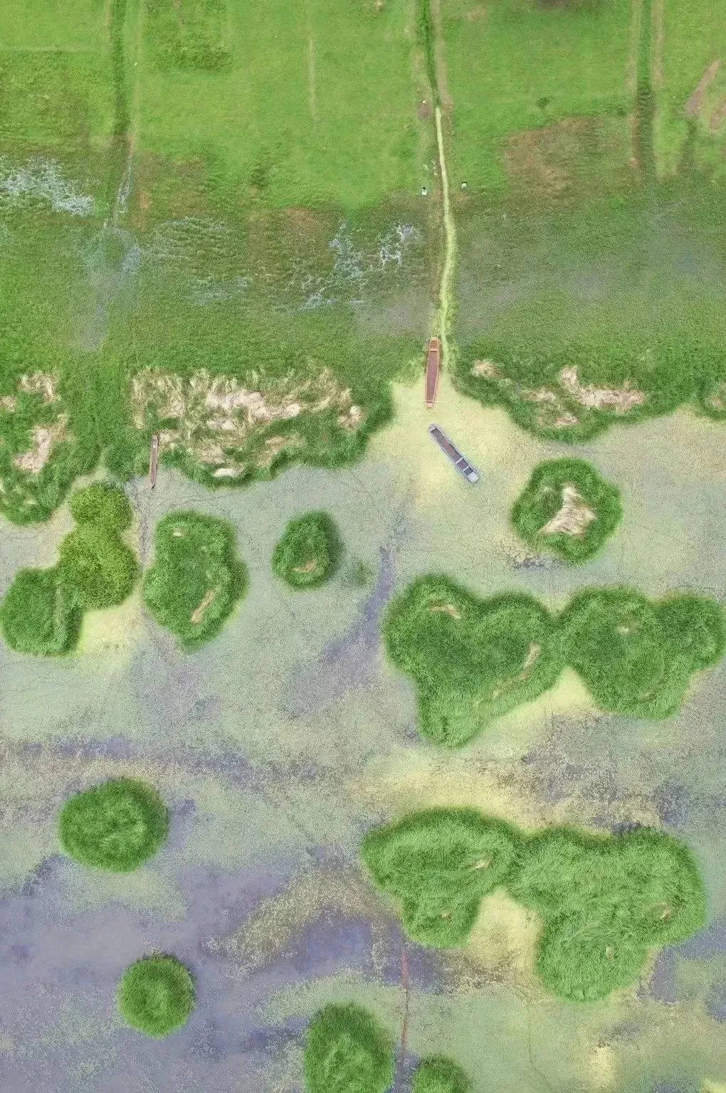 1b8a03d243f8831c9a936826b970acd6-sz_421100