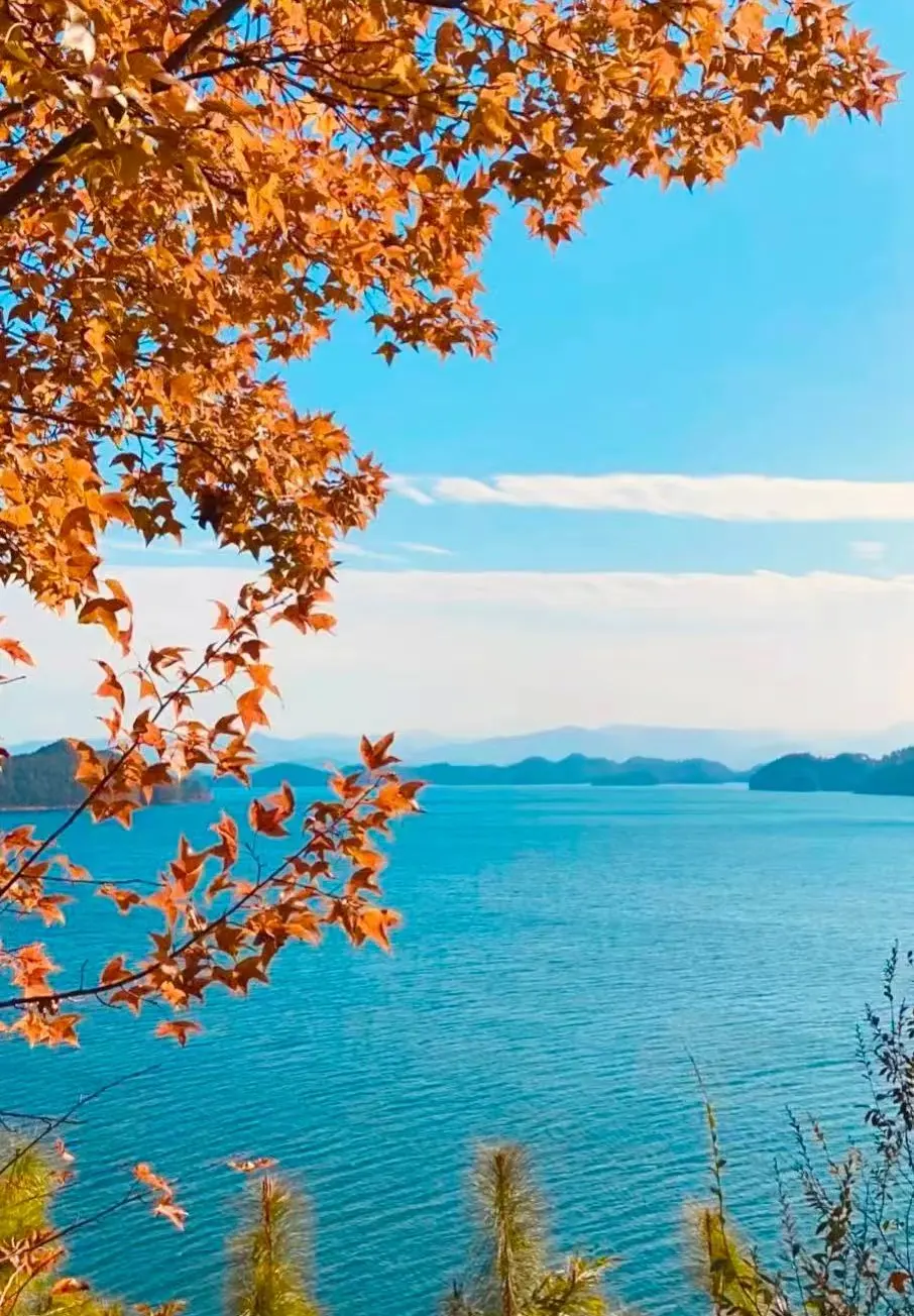 1b8fbf48263f1f85e44c9faa589cc906-sz_287449