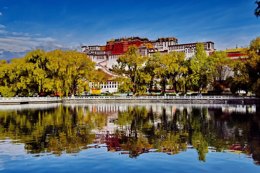 1b8ffbb959ff23453b0806d19ca9c6bc-sz_3220807 1b8ffbb959ff23453b0806d19ca9c6bc-sz_3220807