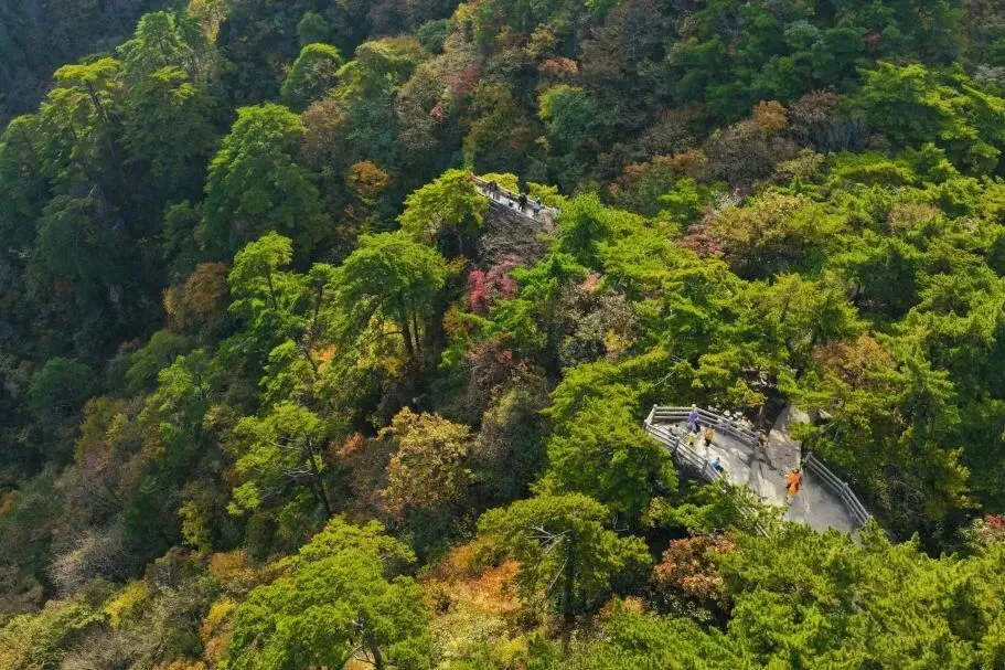 1b901191a225315cc84391e61fb40bd3-sz_158103