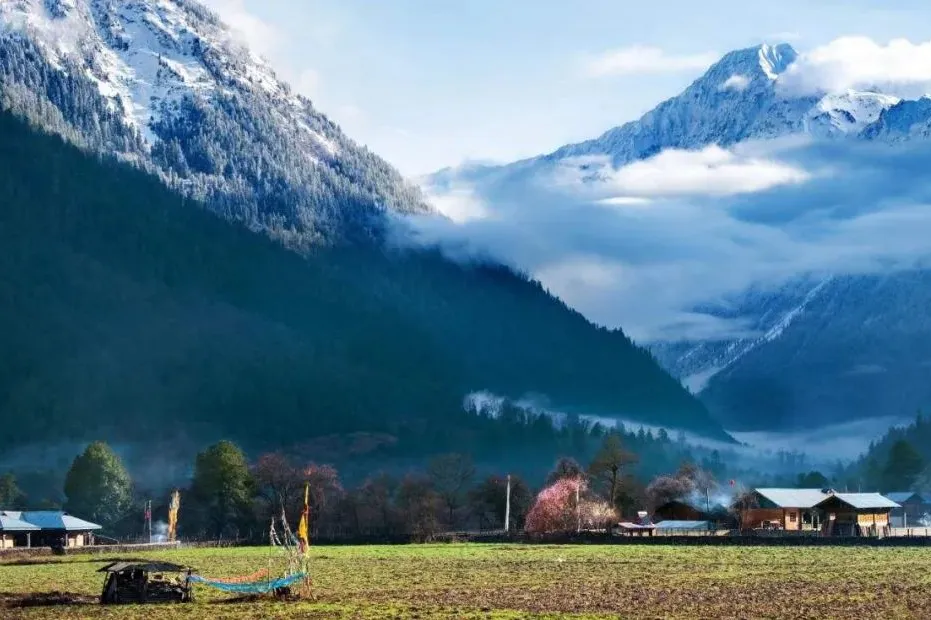 1bc390f05c491a8c2ed007a79ce774be-sz_106972 1bc390f05c491a8c2ed007a79ce774be-sz_106972