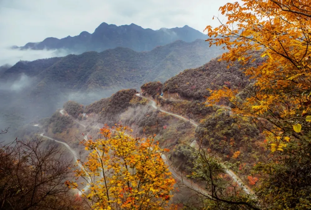 1bcea62b38b8bda96f9939430e65792e-sz_542036 1bcea62b38b8bda96f9939430e65792e-sz_542036