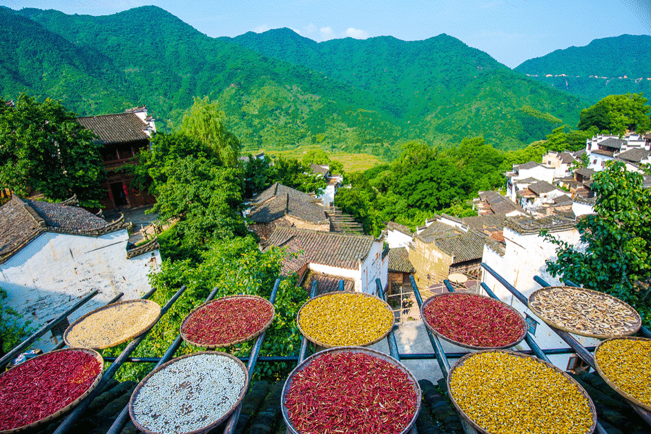 1bf9925e2ab5b3ff27138b0ea68af6bc-sz_2681205