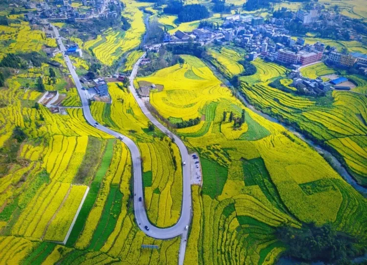 1c13162b07a9402e7faf4a734157505d-sz_1771430