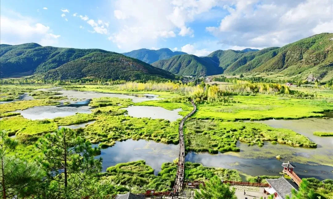 1c21d5e4eacbd9c0d7139409dcce3b30-sz_201551