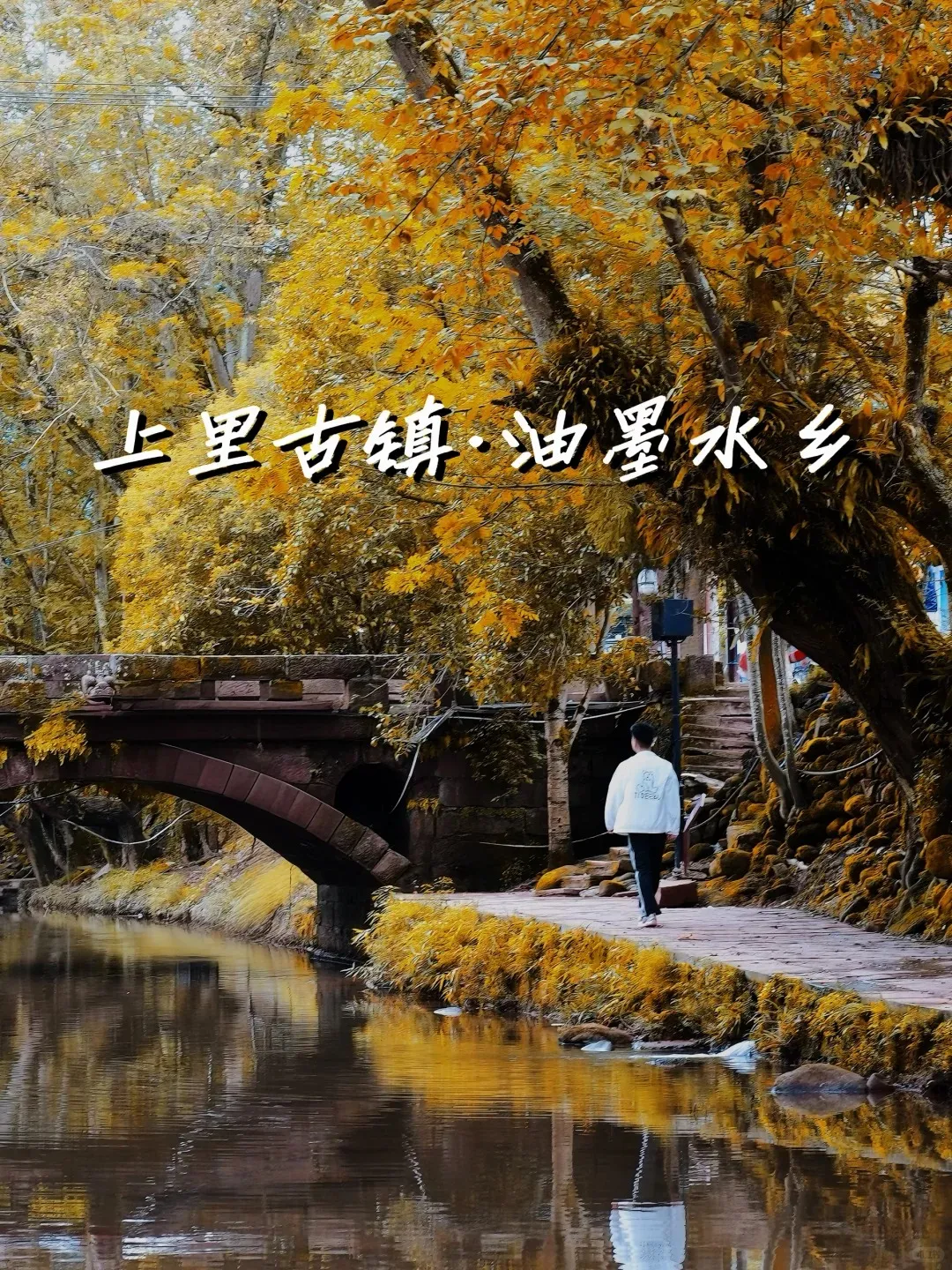 1c37955d5ce38f72f8c3b81956e714b9-sz_754162