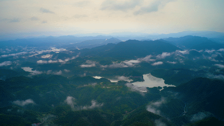 1c4b0771ced0506792017ffc4faf9731-sz_3007820