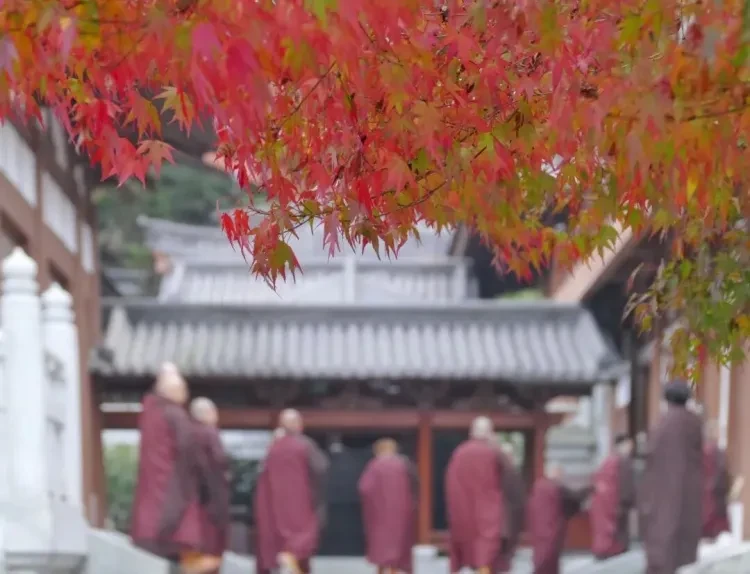 1c5517b70001b30908bc489357252811-sz_106344 1c5517b70001b30908bc489357252811-sz_106344