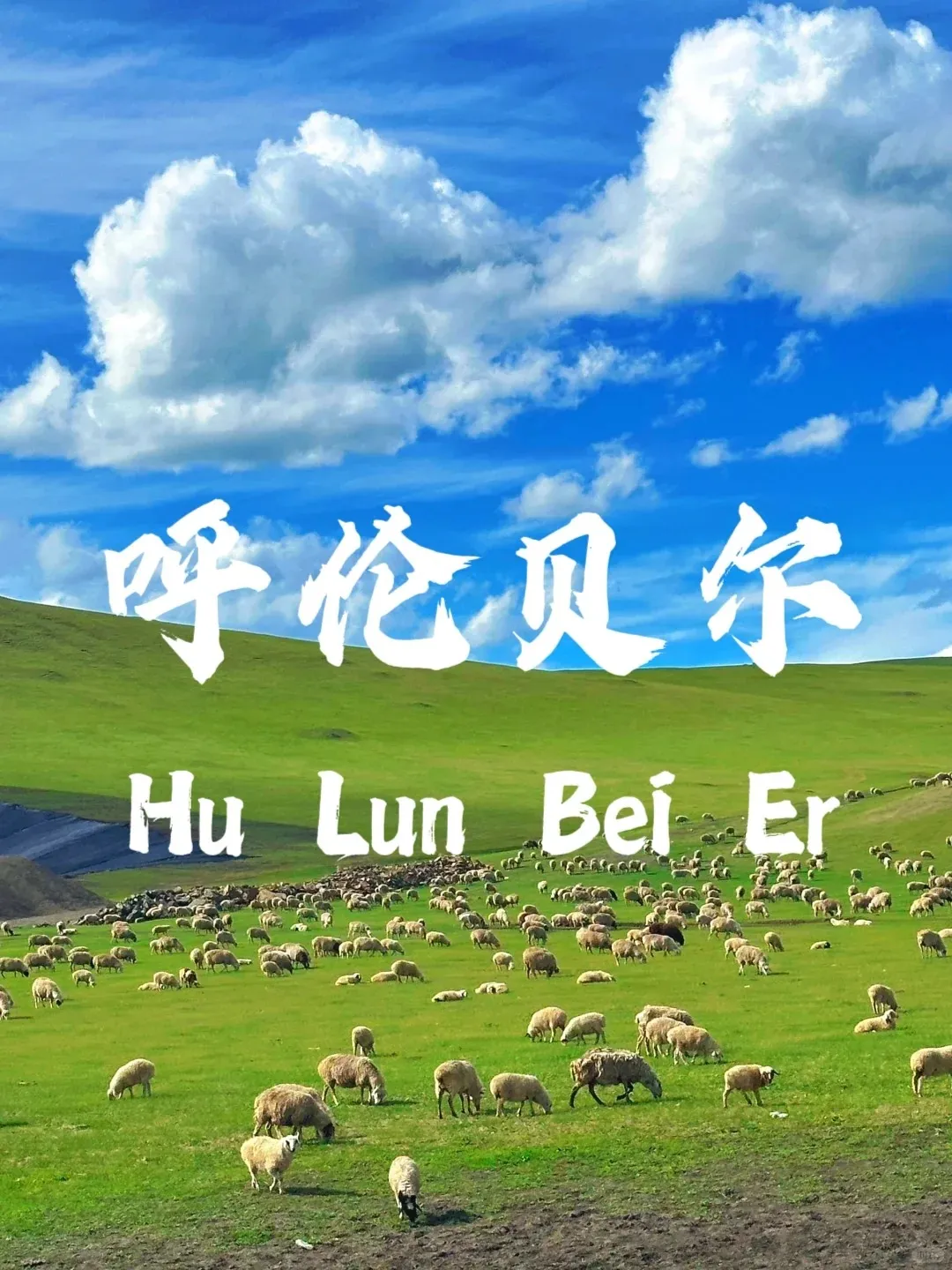 1c73cef4c8c8b0dd5317e39f103d68cd-sz_389862 1c73cef4c8c8b0dd5317e39f103d68cd-sz_389862